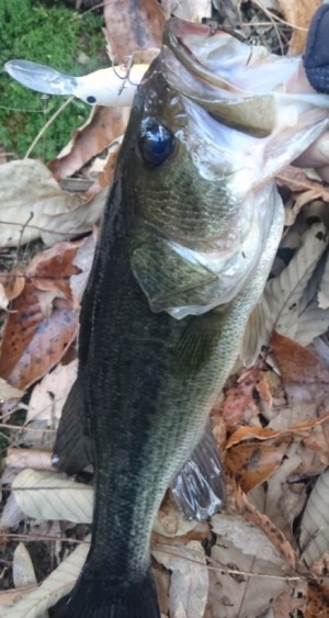 hideup 久次米良信 ブログ写真 2017/02/16