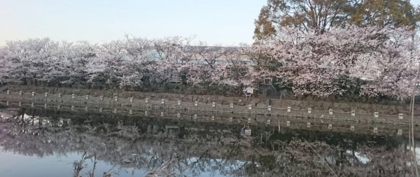 hideup 久次米良信 ブログ写真 2017/04/14