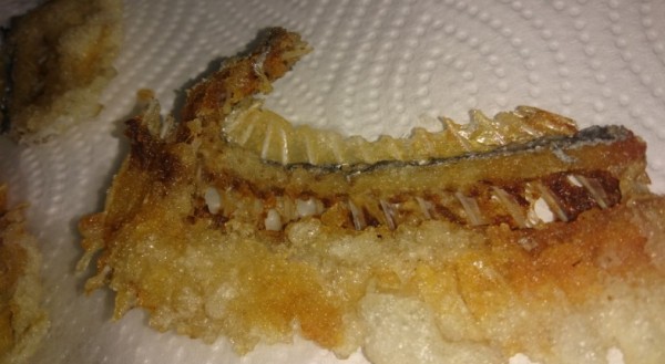 hideup 久次米良信 ブログ写真 2016/11/15