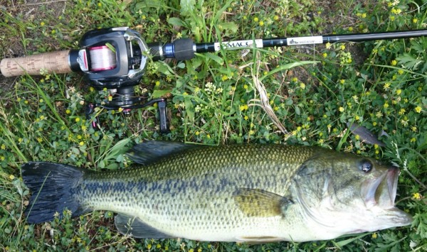 hideup 久次米良信 ブログ写真 2017/05/05