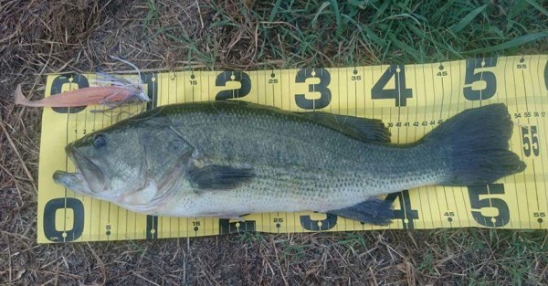 hideup 久次米良信 ブログ写真 2016/08/04