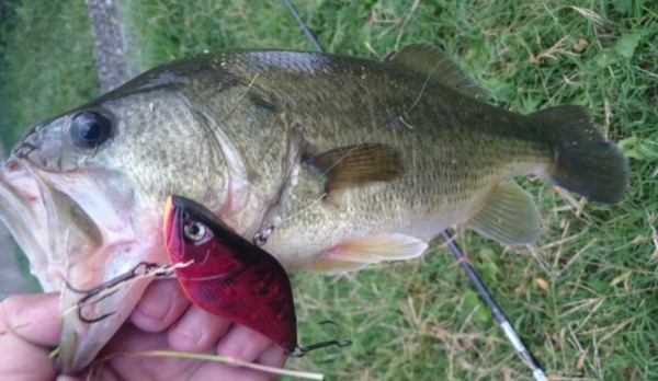 hideup 久次米良信 ブログ写真 2016/10/18