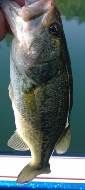 hideup 久次米良信 ブログ写真 2017/10/11