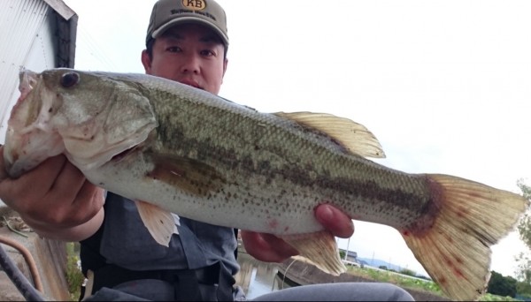 hideup 久次米良信 ブログ写真 2017/06/13