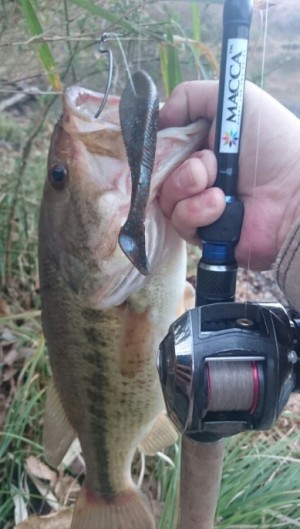 hideup 久次米良信 ブログ写真 2017/01/11