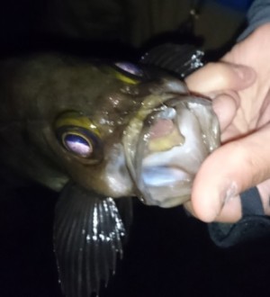 hideup 久次米良信 ブログ写真 2017/05/03