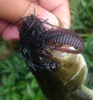 hideup 久次米良信 ブログ写真 2017/09/18