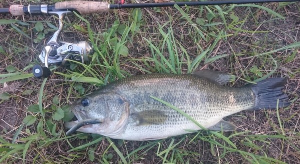 hideup 久次米良信 ブログ写真 2016/07/21