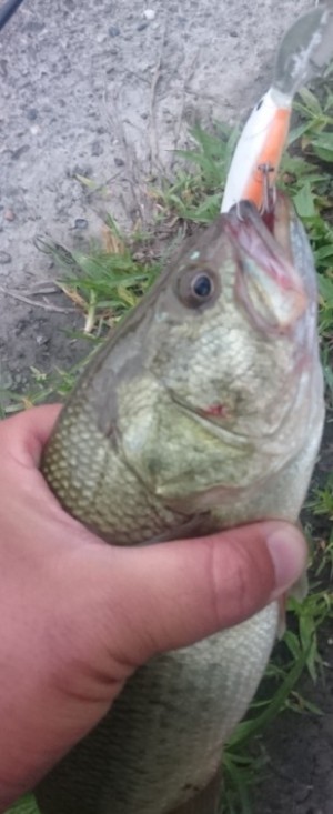 hideup 久次米良信 ブログ写真 2017/07/13