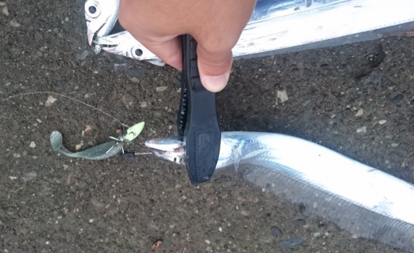 hideup 久次米良信 ブログ写真 2017/10/05