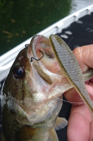 hideup 久次米良信 ブログ写真 2017/05/07