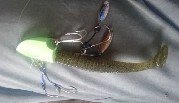 hideup 久次米良信 ブログ写真 2017/09/05