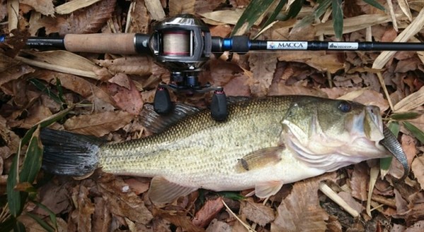 hideup 久次米良信 ブログ写真 2016/05/14