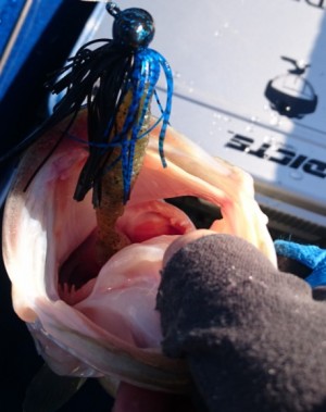 hideup 久次米良信 ブログ写真 2017/03/06