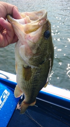 hideup 久次米良信 ブログ写真 2016/08/16