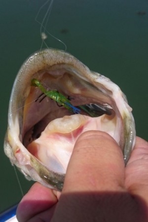 hideup 久次米良信 ブログ写真 2016/08/09