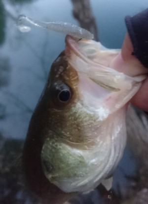 hideup 久次米良信 ブログ写真 2017/01/16