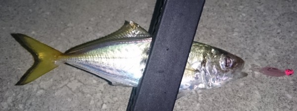 hideup 久次米良信 ブログ写真 2016/10/01