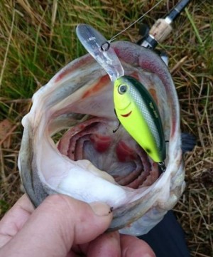 hideup 久次米良信 ブログ写真 2017/02/07