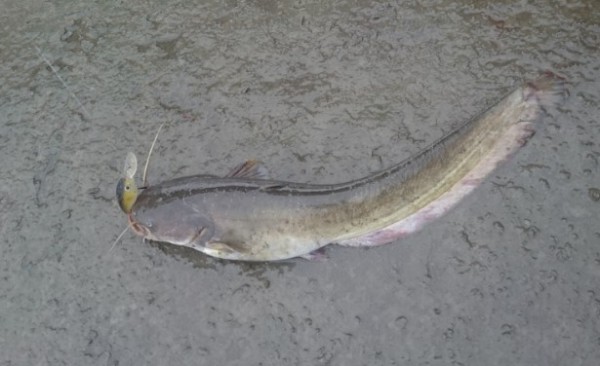 hideup 久次米良信 ブログ写真 2016/07/12