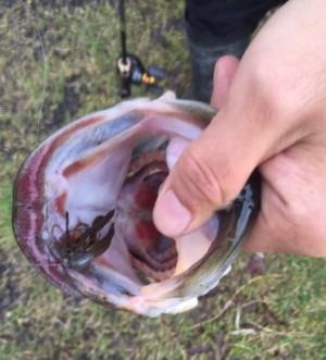 hideup 久次米良信 ブログ写真 2016/04/09