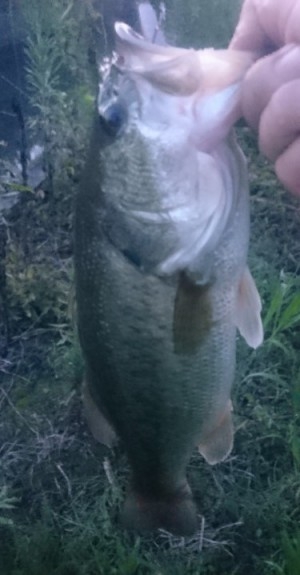 hideup 久次米良信 ブログ写真 2016/07/05