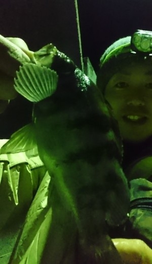 hideup 久次米良信 ブログ写真 2016/12/03