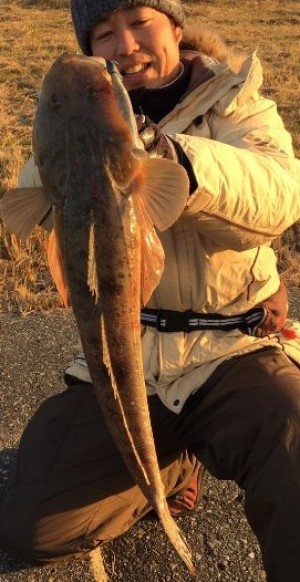 hideup 久次米良信 ブログ写真 2017/05/12