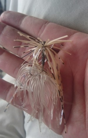 hideup 久次米良信 ブログ写真 2016/08/06