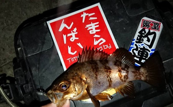 hideup 久次米良信 ブログ写真 2017/12/21