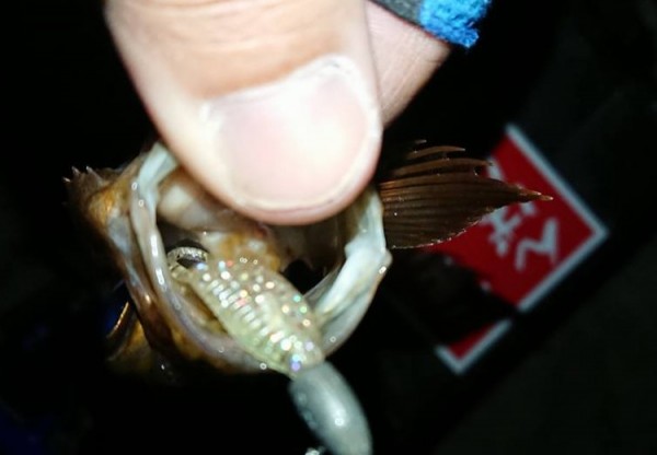 hideup 久次米良信 ブログ写真 2017/12/21