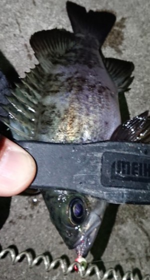 hideup 久次米良信 ブログ写真 2018/01/06