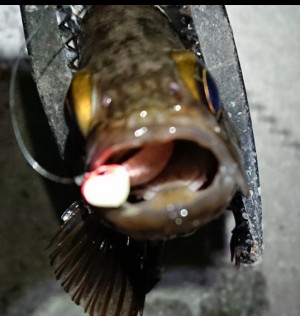 hideup 久次米良信 ブログ写真 2018/01/06