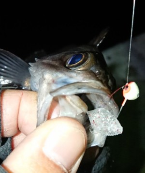 hideup 久次米良信 ブログ写真 2018/01/06