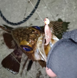 hideup 久次米良信 ブログ写真 2018/01/06