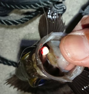 hideup 久次米良信 ブログ写真 2018/01/06