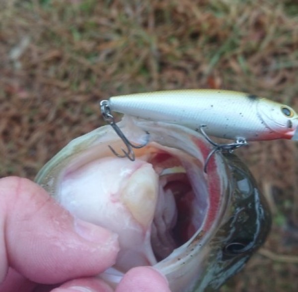 hideup 久次米良信 ブログ写真 2018/01/09