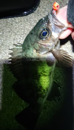 hideup 久次米良信 ブログ写真 2018/01/10