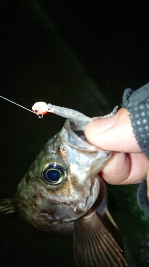 hideup 久次米良信 ブログ写真 2018/01/10