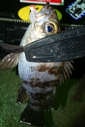 hideup 久次米良信 ブログ写真 2018/01/10