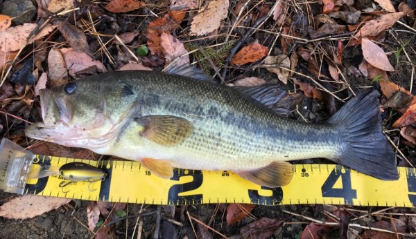 hideup 久次米良信 ブログ写真 2018/01/13