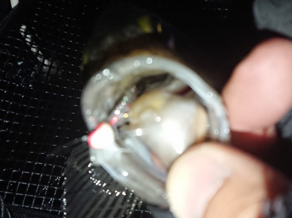 hideup 久次米良信 ブログ写真 2018/01/16