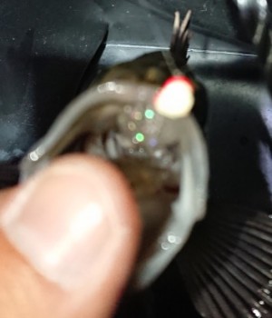 hideup 久次米良信 ブログ写真 2018/01/20