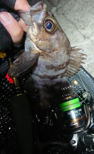 hideup 久次米良信 ブログ写真 2018/01/20