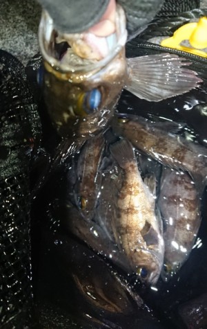 hideup 久次米良信 ブログ写真 2018/01/20