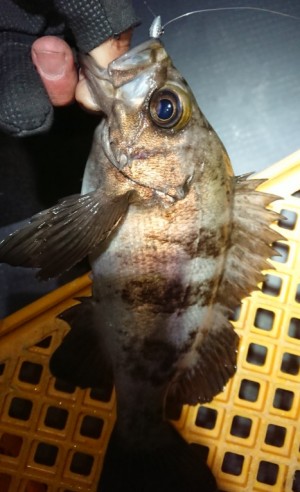 hideup 久次米良信 ブログ写真 2018/01/22