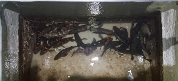 hideup 久次米良信 ブログ写真 2018/01/22