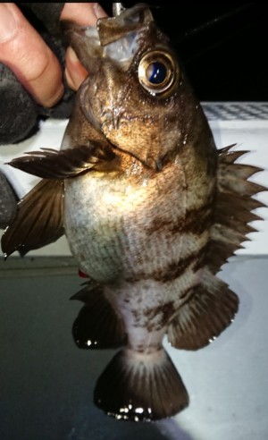 hideup 久次米良信 ブログ写真 2018/01/22