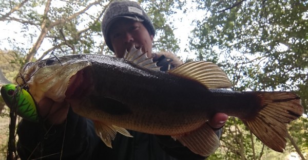 hideup 久次米良信 ブログ写真 2018/02/01