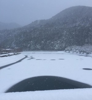 hideup 久次米良信 ブログ写真 2018/02/08